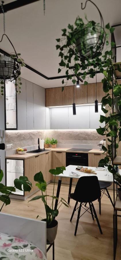 Magic House Apartament Proszowska 58 II Bochnia Eksteriør bilde